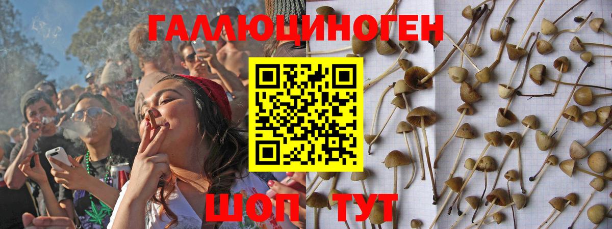 Псилоцибиновые грибы мухоморы  Вход с VPN  Старая Купавна 