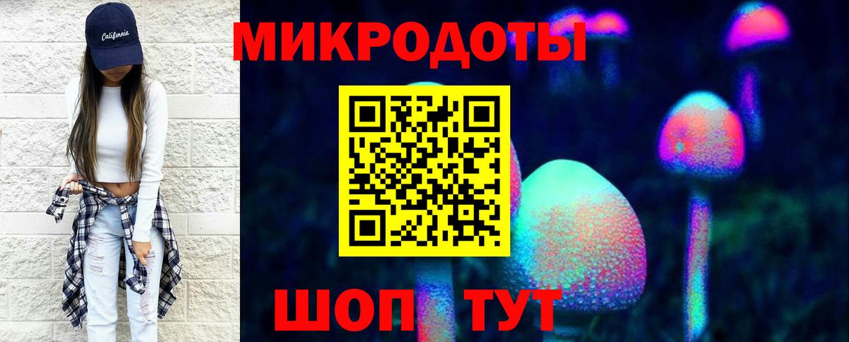 Псилоцибиновые грибы прущие грибы Старая Купавна